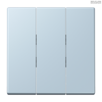 Jung BRG 12-5 PK 42 Abdeckung mit Kipphebel "Kegel" 1-fach 2 Kipphebel