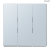 Jung BRG 12-5 PK 42 Abdeckung mit Kipphebel "Kegel" 1-fach 2 Kipphebel