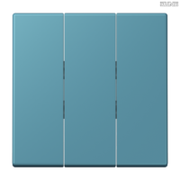 Jung BRG 12-5 PK 42 Abdeckung mit Kipphebel "Kegel" 1-fach 2 Kipphebel