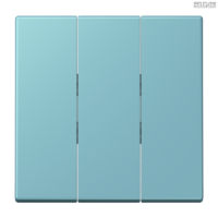 Jung BRG 12-5 PK 42 Abdeckung mit Kipphebel "Kegel" 1-fach 2 Kipphebel