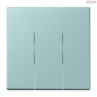 Jung BRG 12-5 PK 42 Abdeckung mit Kipphebel "Kegel" 1-fach 2 Kipphebel