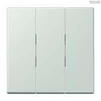 Jung BRG 12-5 PK 42 Abdeckung mit Kipphebel "Kegel" 1-fach 2 Kipphebel