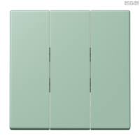 Jung BRG 12-5 PK 42 Abdeckung mit Kipphebel "Kegel" 1-fach 2 Kipphebel
