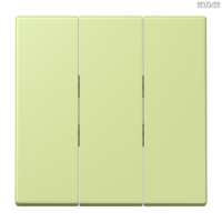 Jung BRG 12-5 PK 42 Abdeckung mit Kipphebel "Kegel" 1-fach 2 Kipphebel