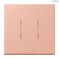 Jung BRG 12-5 PK 42 Abdeckung mit Kipphebel "Kegel" 1-fach 2 Kipphebel