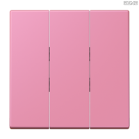 Jung BRG 12-5 PK 42 Abdeckung mit Kipphebel "Kegel" 1-fach 2 Kipphebel