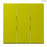 Jung BRG 12-5 PK 42 Abdeckung mit Kipphebel "Kegel" 1-fach 2 Kipphebel