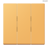 Jung BRG 12-5 PK 42 Abdeckung mit Kipphebel "Kegel" 1-fach 2 Kipphebel