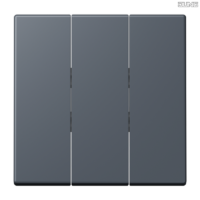 Jung BRG 12-5 PK 42 Abdeckung mit Kipphebel "Kegel" 1-fach 2 Kipphebel
