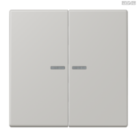 Jung BRG 12-5 PK 42 Abdeckung mit Kipphebel "Kegel" 1-fach 2 Kipphebel