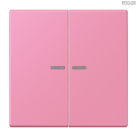 Jung BRG 12-5 PK 42 Abdeckung mit Kipphebel "Kegel" 1-fach 2 Kipphebel