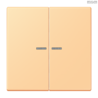 Jung BRG 12-5 PK 42 Abdeckung mit Kipphebel "Kegel" 1-fach 2 Kipphebel