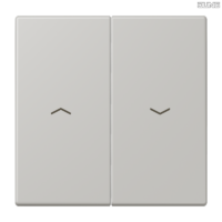 Jung BRG 12-5 PK 42 Abdeckung mit Kipphebel "Kegel" 1-fach 2 Kipphebel