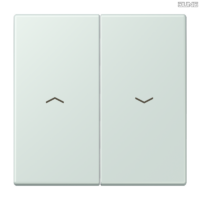 Jung BRG 12-5 PK 42 Abdeckung mit Kipphebel "Kegel" 1-fach 2 Kipphebel