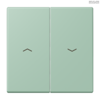 Jung BRG 12-5 PK 42 Abdeckung mit Kipphebel "Kegel" 1-fach 2 Kipphebel