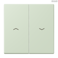 Jung BRG 12-5 PK 42 Abdeckung mit Kipphebel "Kegel" 1-fach 2 Kipphebel