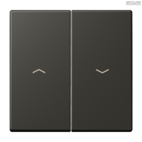 Jung BRG 12-5 PK 42 Abdeckung mit Kipphebel "Kegel" 1-fach 2 Kipphebel