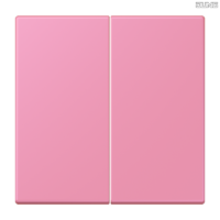 Jung BRG 12-5 PK 42 Abdeckung mit Kipphebel "Kegel" 1-fach 2 Kipphebel