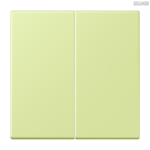 Jung BRG 12-5 PK 42 Abdeckung mit Kipphebel "Kegel" 1-fach 2 Kipphebel