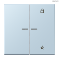 Jung BRG 12-5 PK 42 Abdeckung mit Kipphebel "Kegel" 1-fach 2 Kipphebel