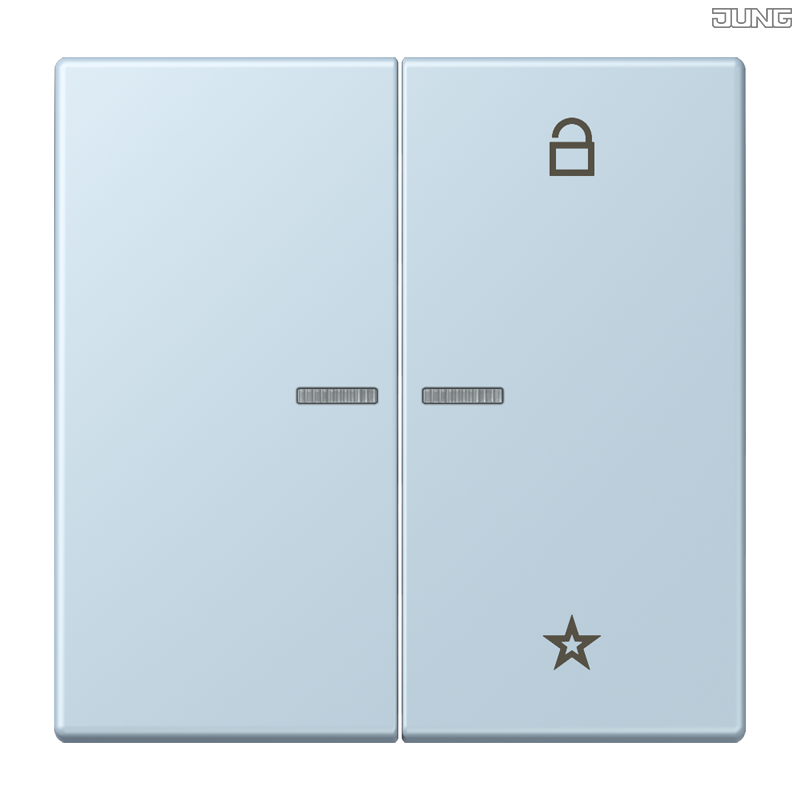 Jung BRG 12-5 PK 42 Abdeckung mit Kipphebel "Kegel" 1-fach 2 Kipphebel