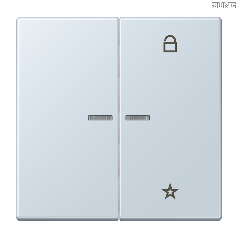 Jung BRG 12-5 PK 42 Abdeckung mit Kipphebel "Kegel" 1-fach 2 Kipphebel