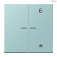 Jung BRG 12-5 PK 42 Abdeckung mit Kipphebel "Kegel" 1-fach 2 Kipphebel
