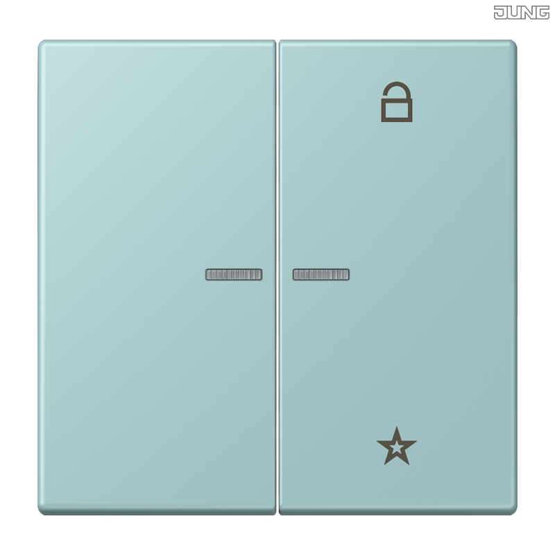Jung BRG 12-5 PK 42 Abdeckung mit Kipphebel "Kegel" 1-fach 2 Kipphebel
