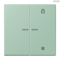 Jung BRG 12-5 PK 42 Abdeckung mit Kipphebel "Kegel" 1-fach 2 Kipphebel