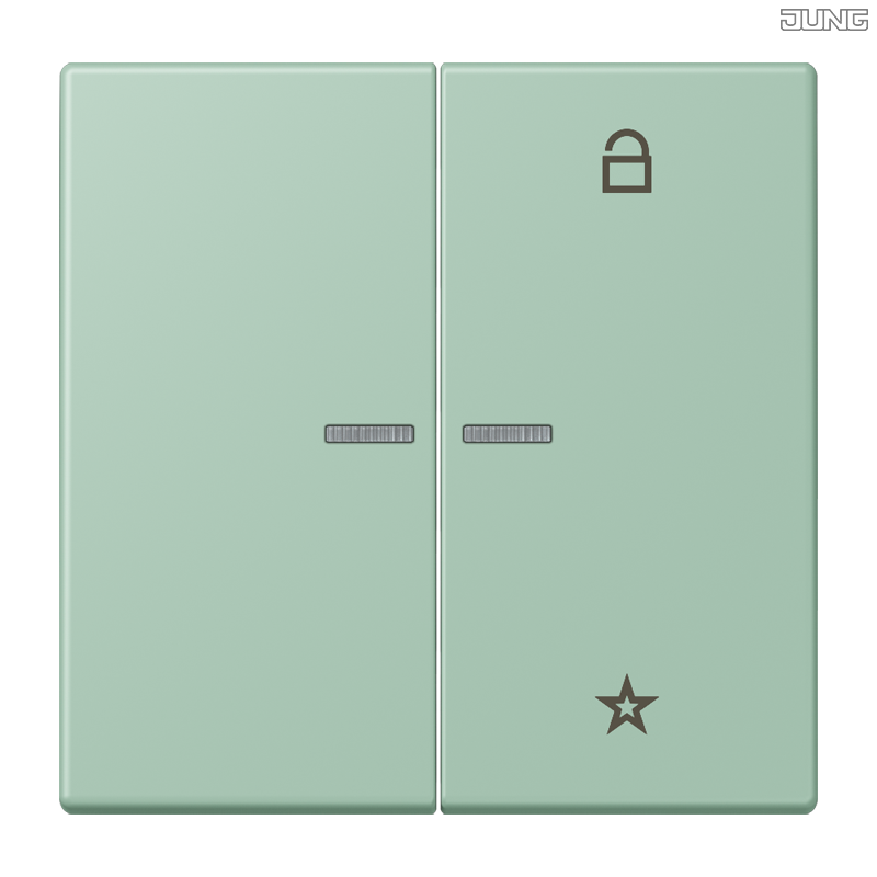 Jung BRG 12-5 PK 42 Abdeckung mit Kipphebel "Kegel" 1-fach 2 Kipphebel