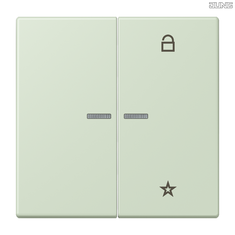 Jung BRG 12-5 PK 42 Abdeckung mit Kipphebel "Kegel" 1-fach 2 Kipphebel