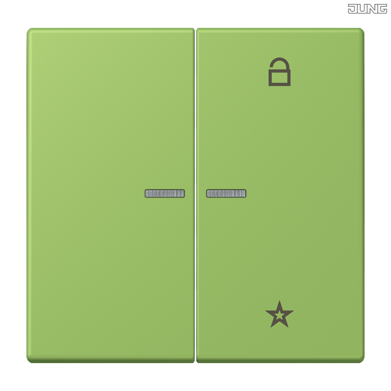 Jung BRG 12-5 PK 42 Abdeckung mit Kipphebel "Kegel" 1-fach 2 Kipphebel
