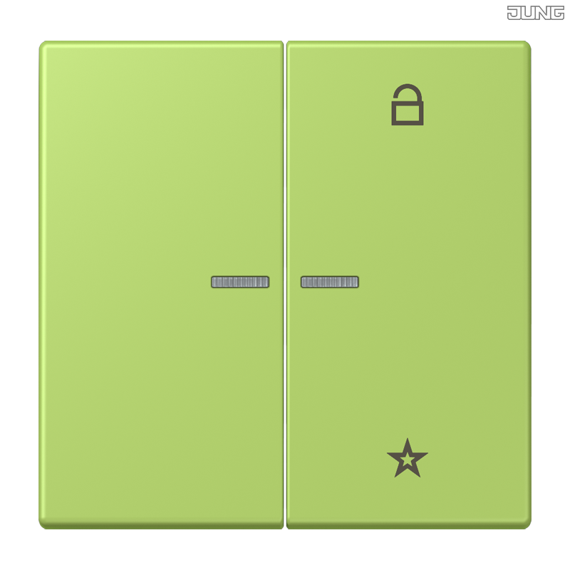 Jung BRG 12-5 PK 42 Abdeckung mit Kipphebel "Kegel" 1-fach 2 Kipphebel