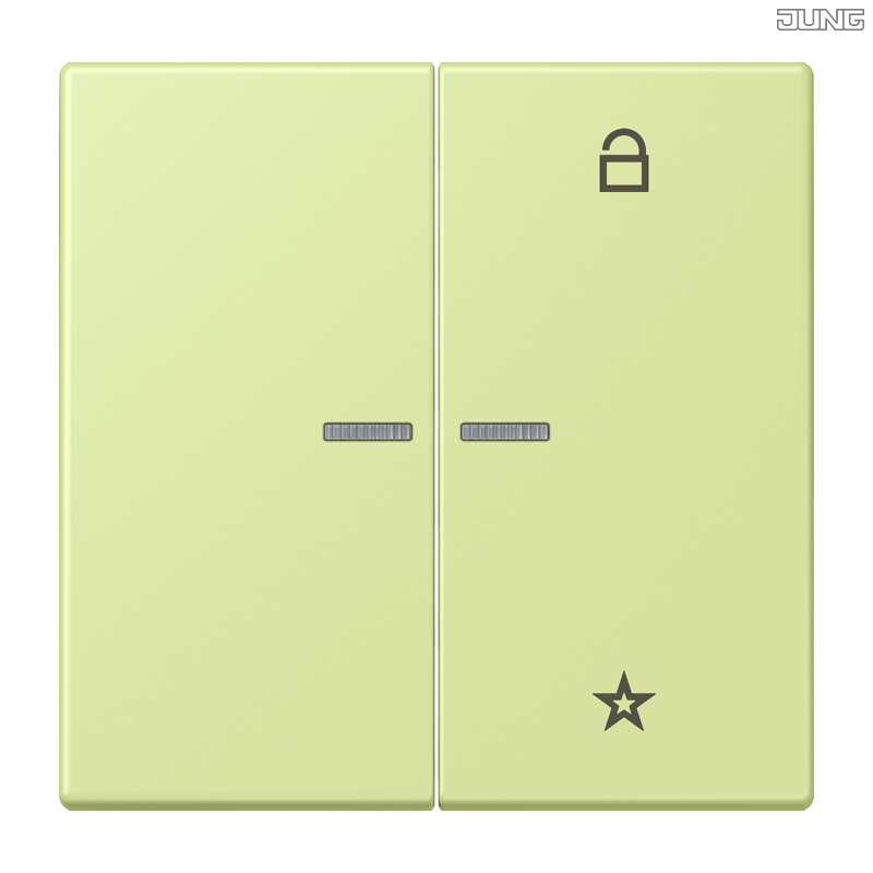 Jung BRG 12-5 PK 42 Abdeckung mit Kipphebel "Kegel" 1-fach 2 Kipphebel
