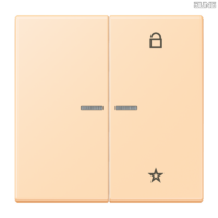 Jung BRG 12-5 PK 42 Abdeckung mit Kipphebel "Kegel" 1-fach 2 Kipphebel