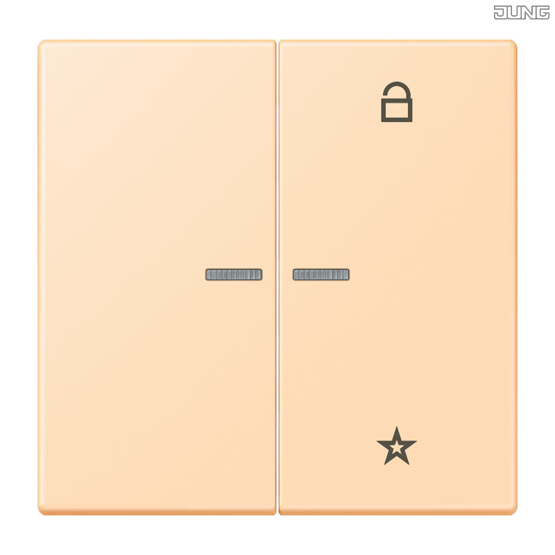 Jung BRG 12-5 PK 42 Abdeckung mit Kipphebel "Kegel" 1-fach 2 Kipphebel