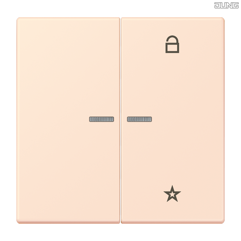 Jung BRG 12-5 PK 42 Abdeckung mit Kipphebel "Kegel" 1-fach 2 Kipphebel