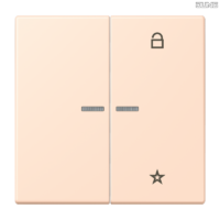 Jung BRG 12-5 PK 42 Abdeckung mit Kipphebel "Kegel" 1-fach 2 Kipphebel
