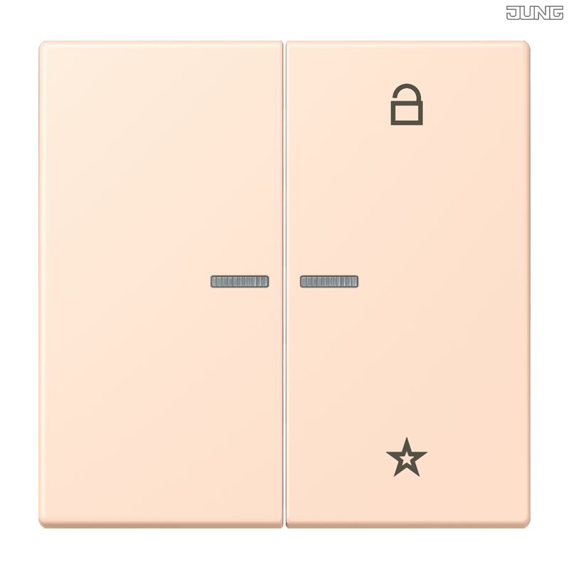 Jung BRG 12-5 PK 42 Abdeckung mit Kipphebel "Kegel" 1-fach 2 Kipphebel