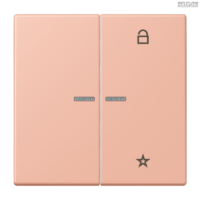Jung BRG 12-5 PK 42 Abdeckung mit Kipphebel "Kegel" 1-fach 2 Kipphebel