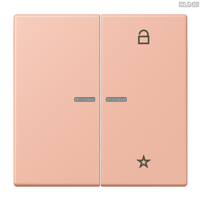 Jung BRG 12-5 PK 42 Abdeckung mit Kipphebel "Kegel" 1-fach 2 Kipphebel