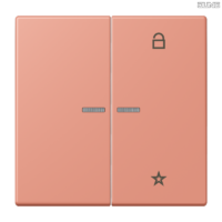 Jung BRG 12-5 PK 42 Abdeckung mit Kipphebel "Kegel" 1-fach 2 Kipphebel