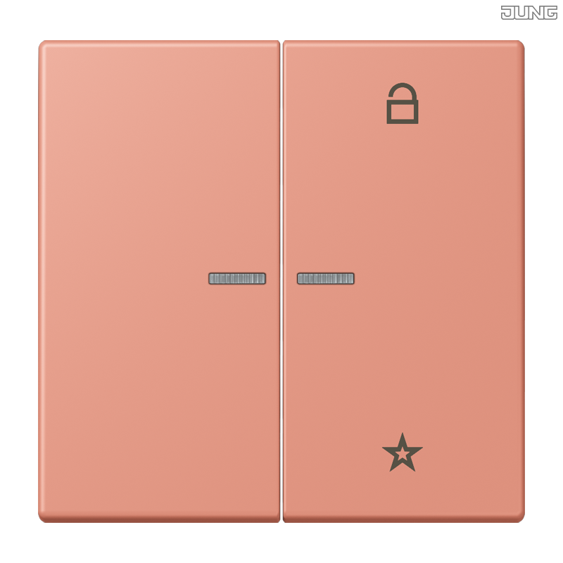Jung BRG 12-5 PK 42 Abdeckung mit Kipphebel "Kegel" 1-fach 2 Kipphebel