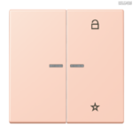 Jung BRG 12-5 PK 42 Abdeckung mit Kipphebel "Kegel" 1-fach 2 Kipphebel