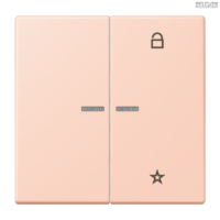 Jung BRG 12-5 PK 42 Abdeckung mit Kipphebel "Kegel" 1-fach 2 Kipphebel