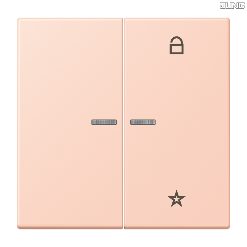 Jung BRG 12-5 PK 42 Abdeckung mit Kipphebel "Kegel" 1-fach 2 Kipphebel