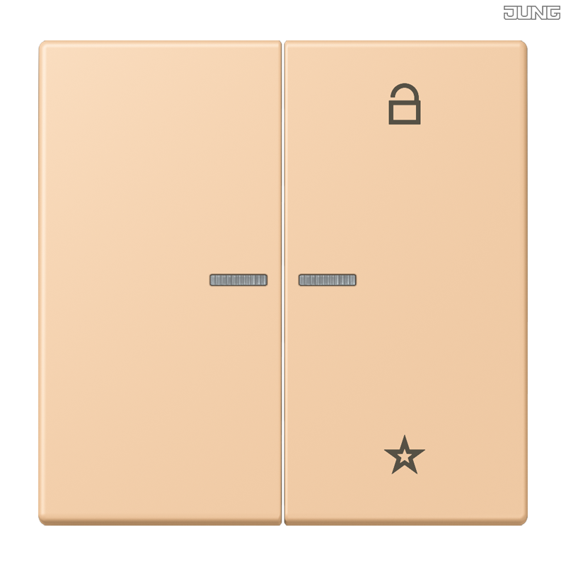 Jung BRG 12-5 PK 42 Abdeckung mit Kipphebel "Kegel" 1-fach 2 Kipphebel