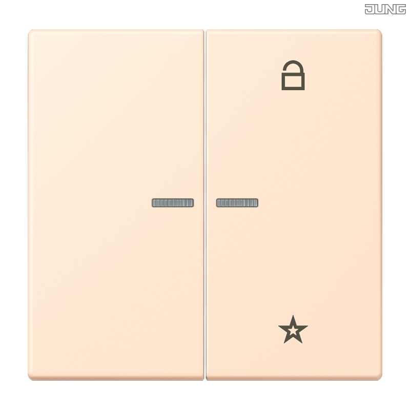 Jung BRG 12-5 PK 42 Abdeckung mit Kipphebel "Kegel" 1-fach 2 Kipphebel