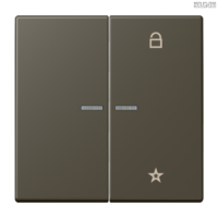 Jung BRG 12-5 PK 42 Abdeckung mit Kipphebel "Kegel" 1-fach 2 Kipphebel