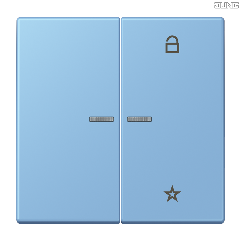Jung BRG 12-5 PK 42 Abdeckung mit Kipphebel "Kegel" 1-fach 2 Kipphebel